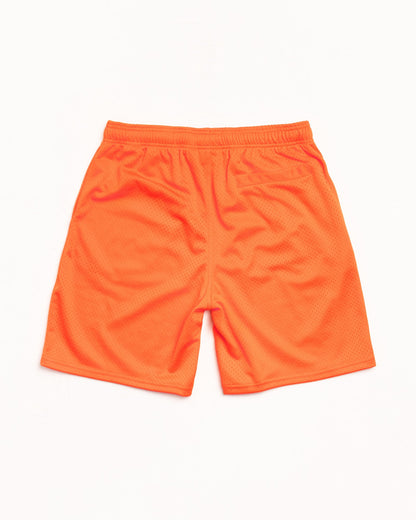 BASIC MESH SHORT ЅТÜЅЅΥ