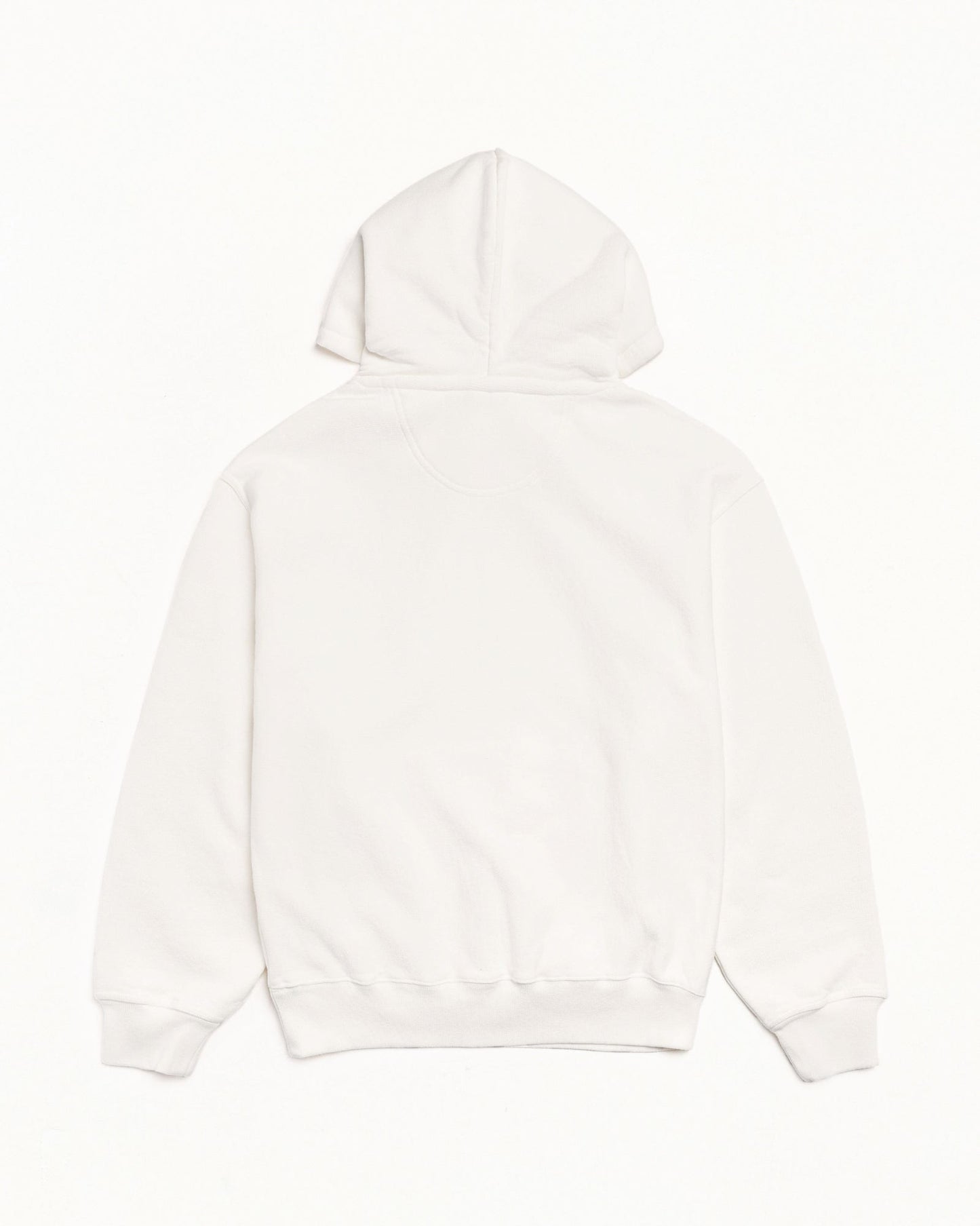 ЅТÜЅЅΥ WEAR HOODIE PIGMENT DYED